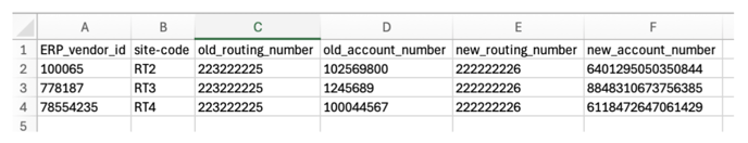 Payer_Tokenization Backfill Report example
